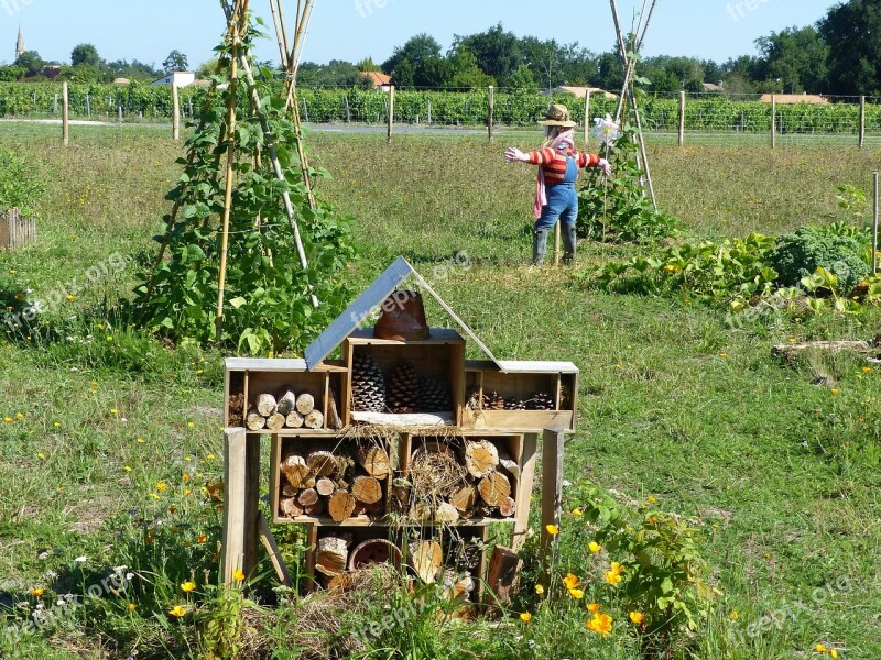 Garden Permaculture Hotel Insects Hotel For Insects