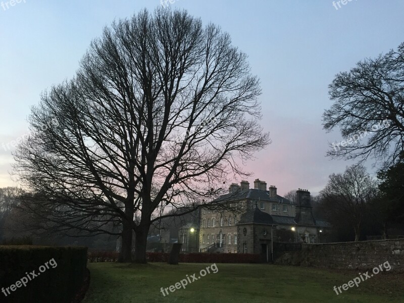 Tree Pollok House Historic Stately