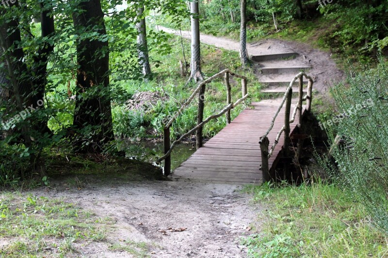 Forest Way Landscape The Path Spacer