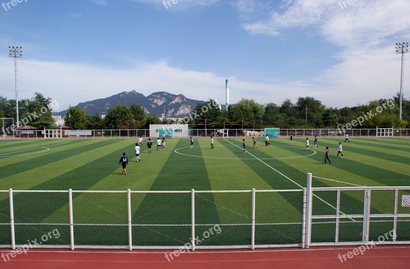 Sport Football Exercise Early Football Artificial Turf