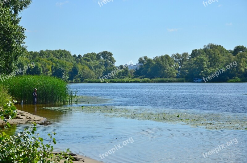 River Summer River Bank Landscape Nature