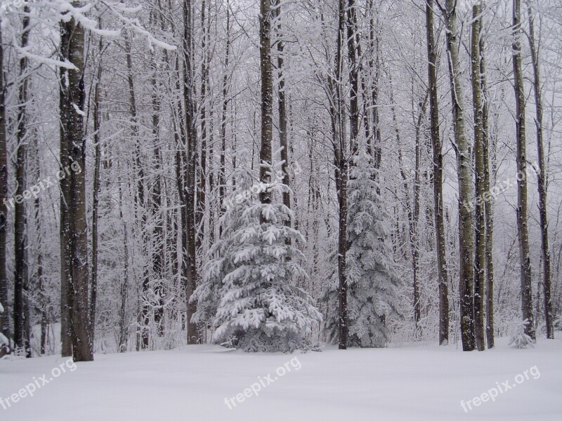 Winter Maine Snow Landscape Cold