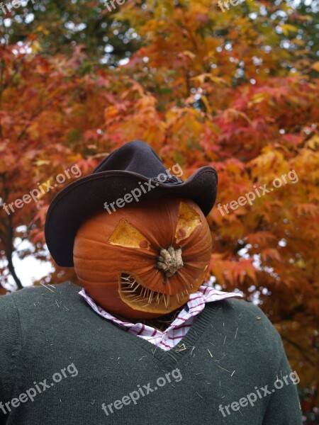 Scarecrow Pumpkin Halloween Free Photos