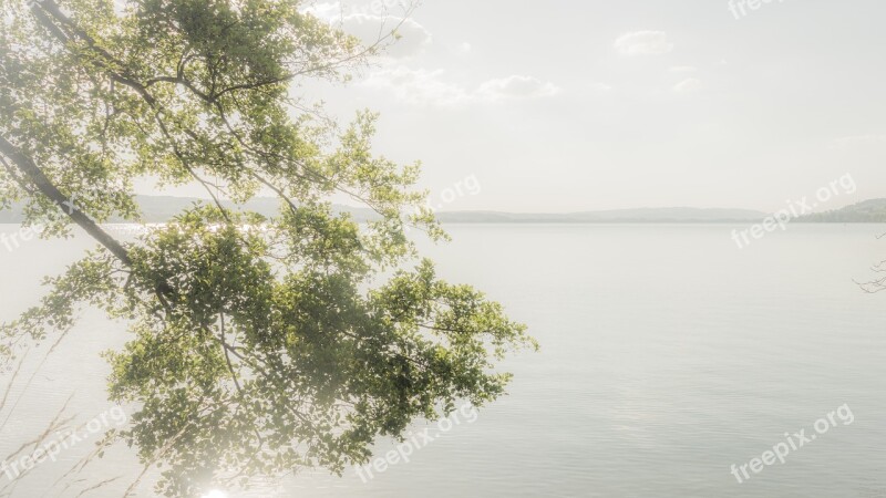 Background Lake Water Light Bright