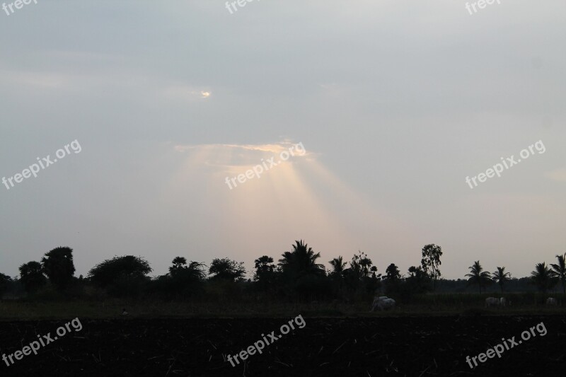 Sun Rays Sun Sun Light Sunlight Sunny