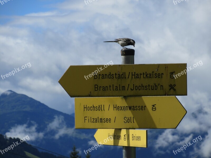 Tirol Mountain Mountains Bird Board