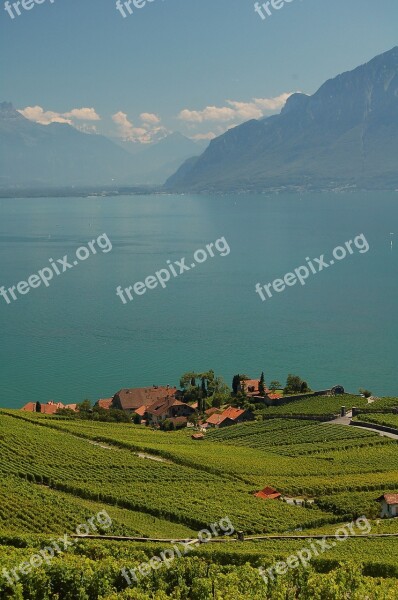 Lavaux Vaud Vineyards Geneva Lake