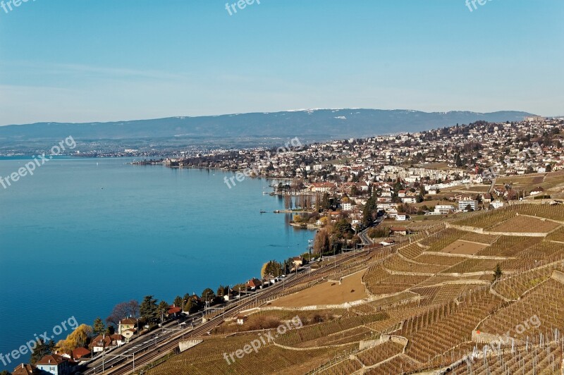 Geneva Lake Vaud Switzerland Vineyards