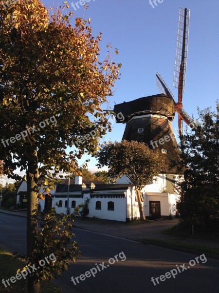 Föhr Windmill Summer Free Photos