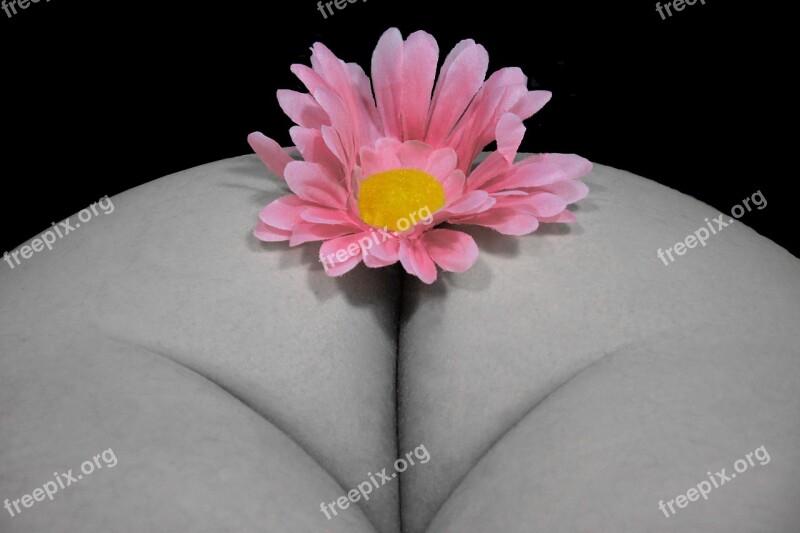 Act Of Part Of Act Naked Flower Blossom