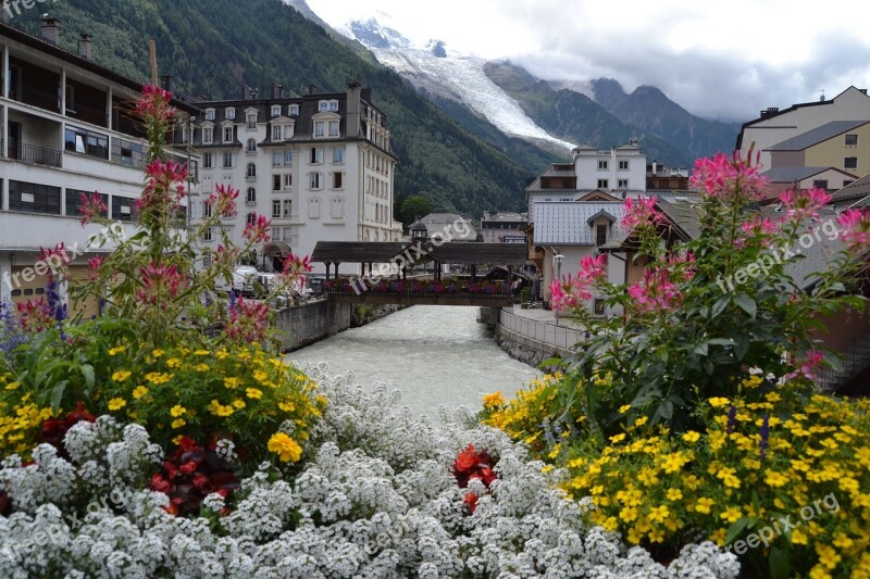 Chamonix Flowers France Snow Rio