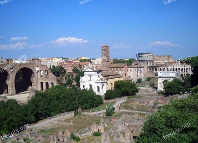 Rome Forum Excavation Italy Antiquity