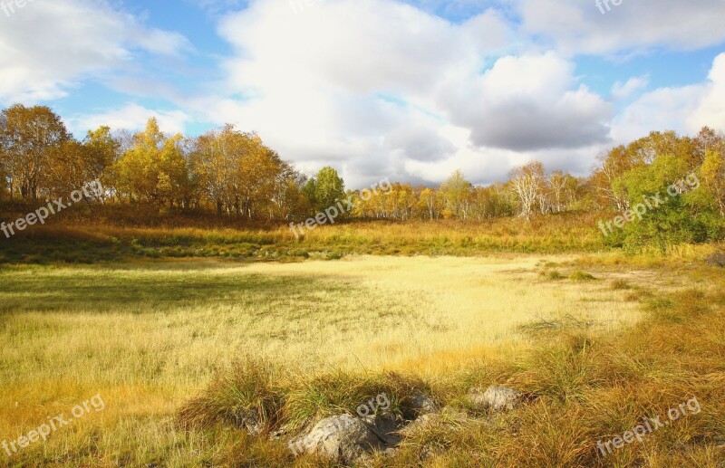 Swamp Tundra Grass Autumn Bumps