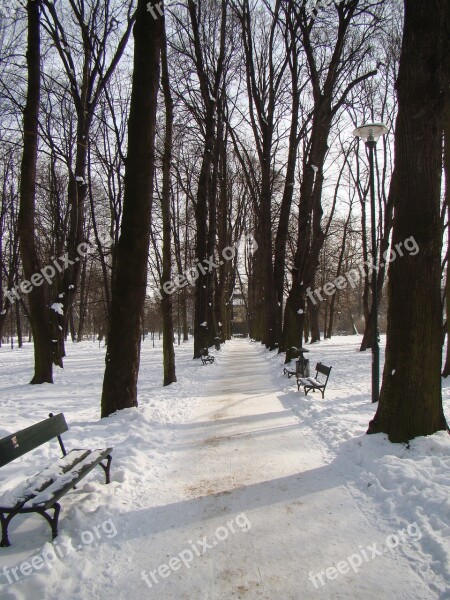 Park In Winter Alley Winter Park Benches