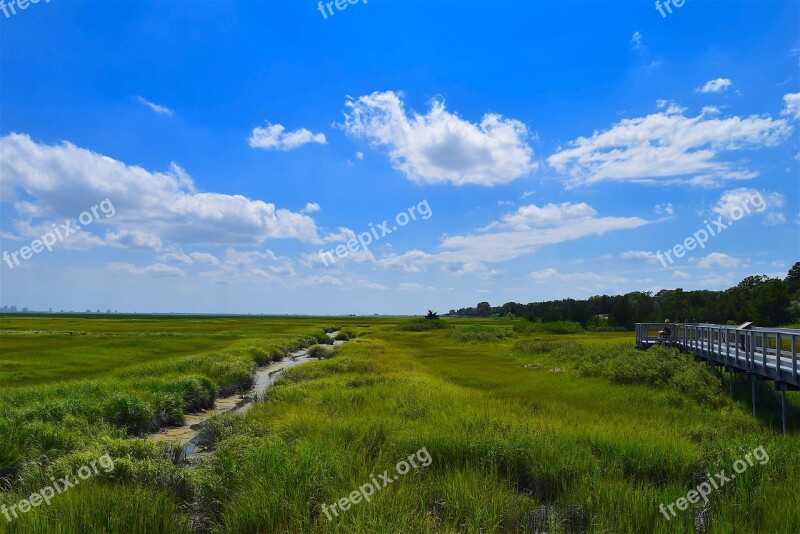 Marsh Estuary Water Grass Nature