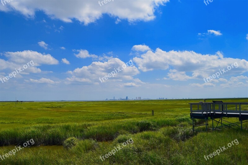 Marsh Estuary Water Grass Nature