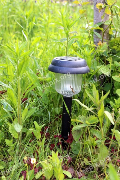 Light Solar Nature Outdoor Power