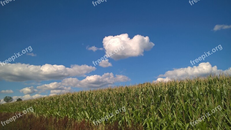 Sauerland Remblinghausen Meschede Cornfield Hochsauerland