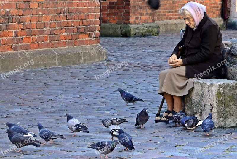 Old Lady Woman Feeding Pigeons