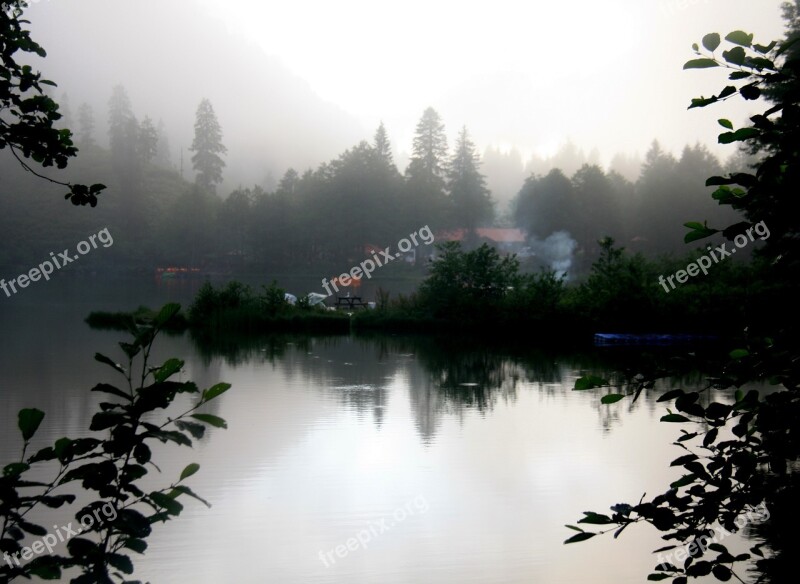 Borçka Karagöl Tree Nature Artvin