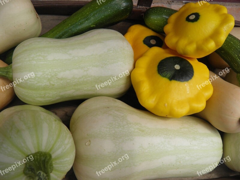 Squash Courgettes Patty Pan Butternut Vegetables