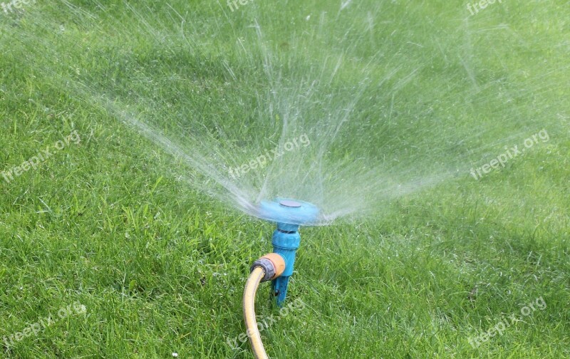 Garden Sprinkler Hose Water Grass