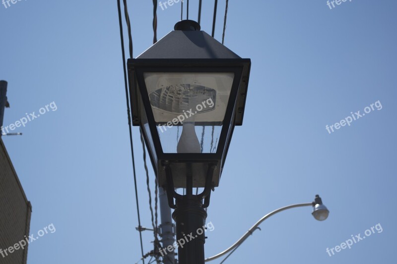 Street Light Cables Streetlight Lamp