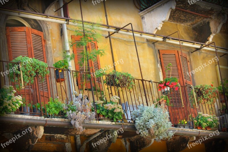 Balcony Plants Flowers Balcony Flowers Italy