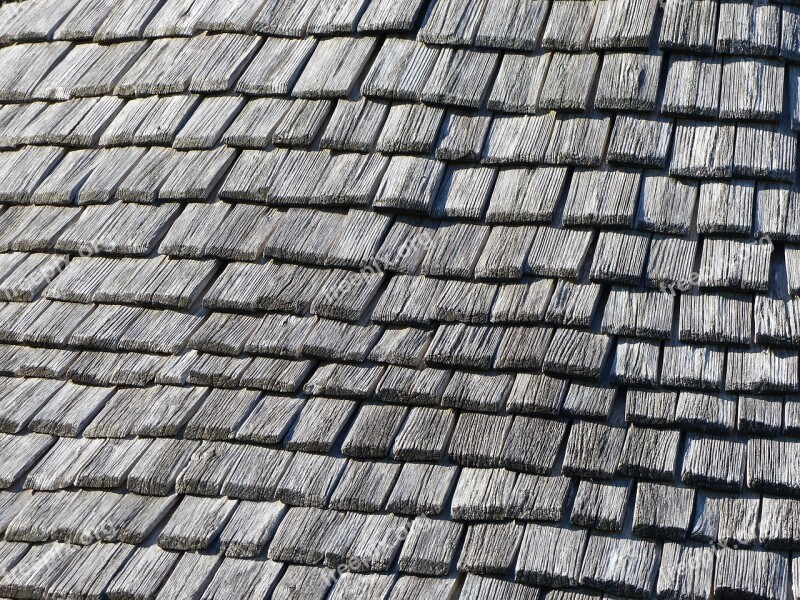 Shingles Tile Wood Roof Brouage