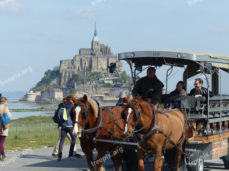 Mont Saint Michel Hitch Horse Horses Transport