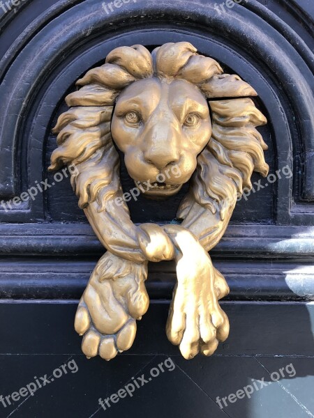 Door Lion Knocker Handle Decoration