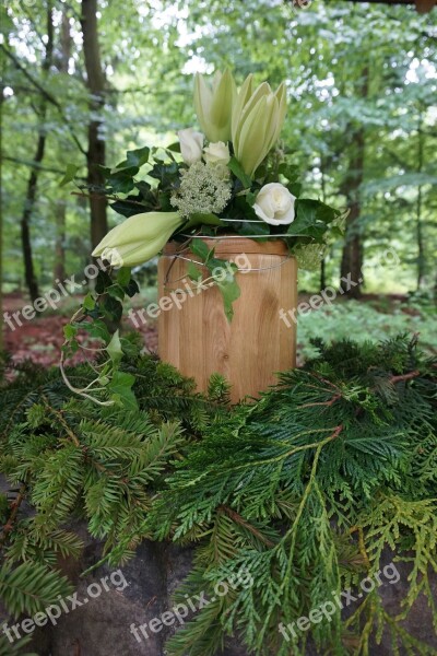 Urn Funeral Mourning Forest Funeral Tree Burial