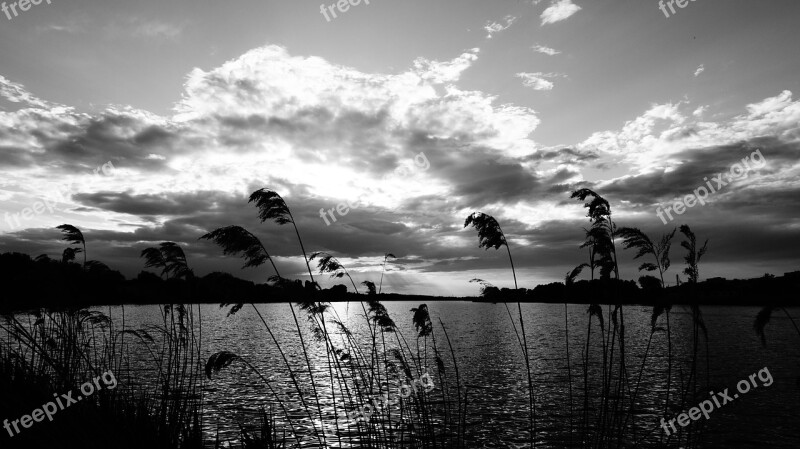 Lake Bw Sun Free Photos