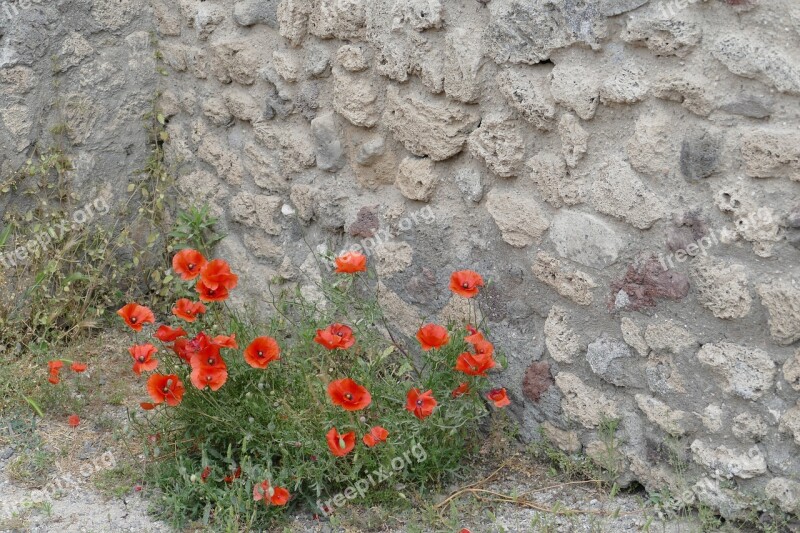 Pompeii Italy Naples Antiquity Places Of Interest