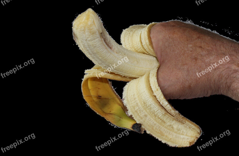 Banana Hand Png Fruit Organic