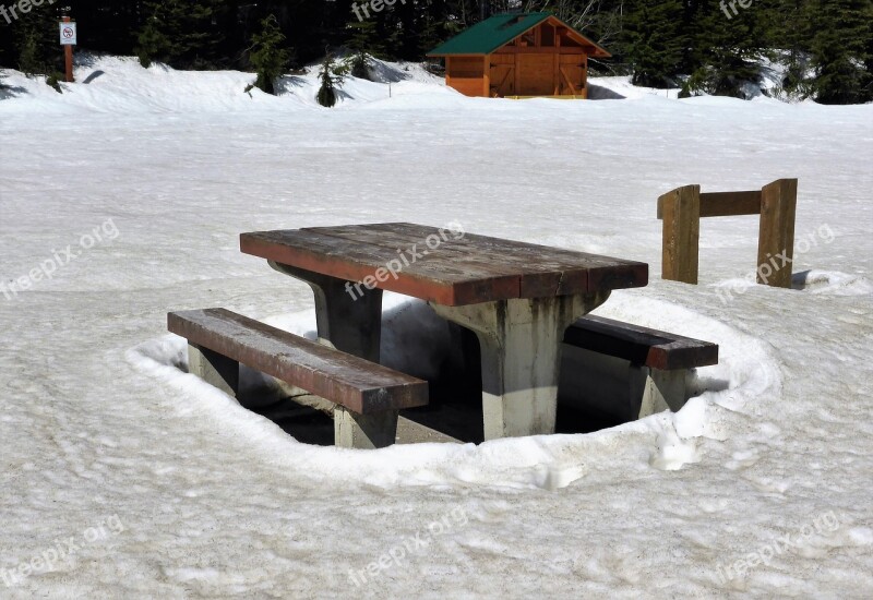 Table Picnic Table Snow Winter Cold