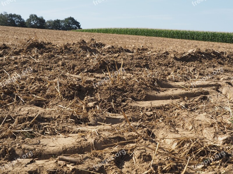 Arable Trace Plaice Field Sky