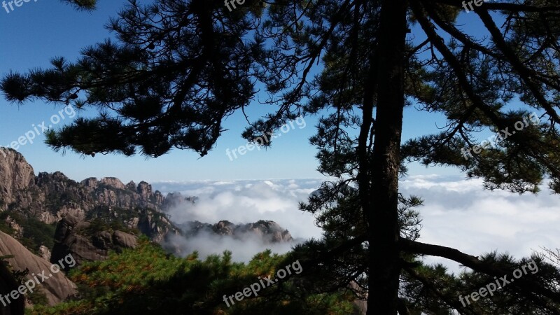 The Scenery Clouds Pine Huangshan Free Photos