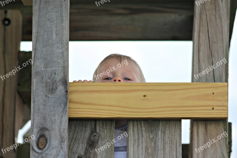 Little Boy Park Peek A Boo Childhood Happy