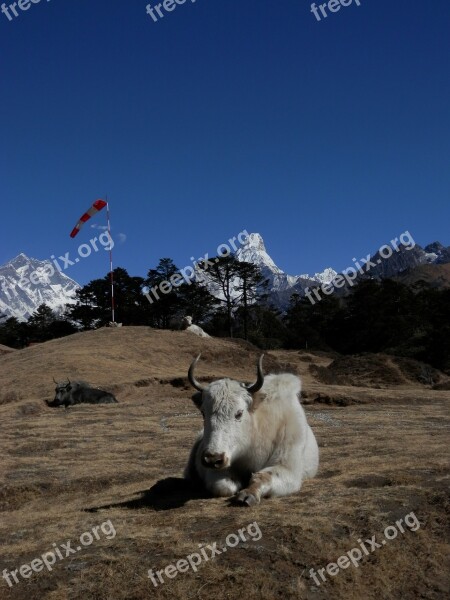 Everest Lhotse Nepal Free Photos