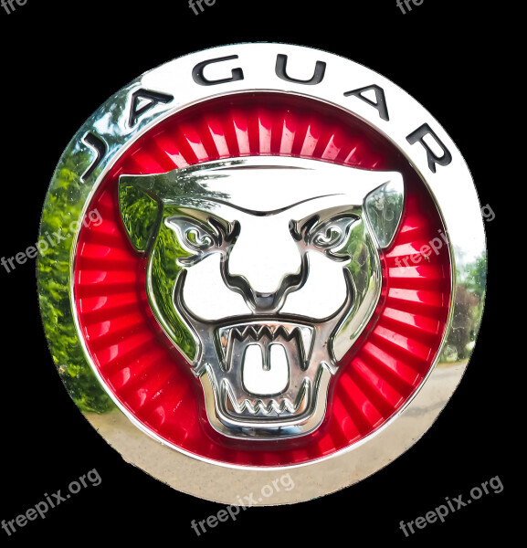 Jaguar Emblem Car Brand Logo Automotive