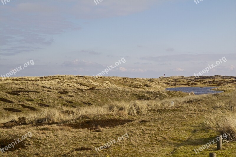 Sylt North Sea Island Landscape Nature