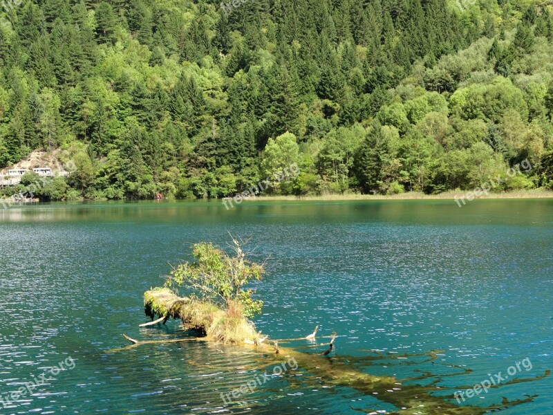 Deadwood The Water Jiuzhaigou Free Photos