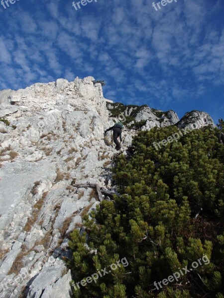 Traunstein Climb Mountains Rock Wall Alpine