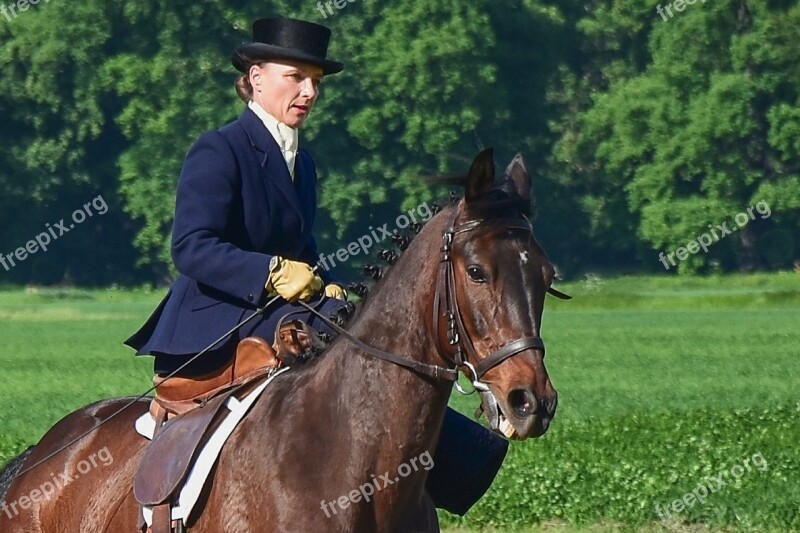 Horse Lady Woman Bridle Riding