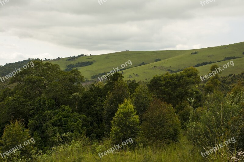 Landscape Trees Flora And Fauna Mountain Free Photos