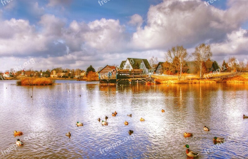 Mills Gifhorn Museum Nature Lower Saxony