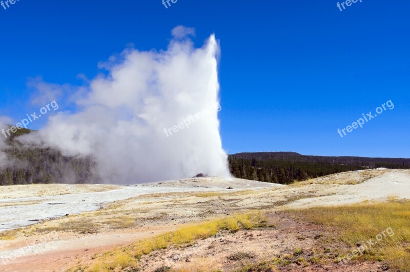 Yellowstone's Old Faithful Geyser Upper Geyser Basin Yellowstone