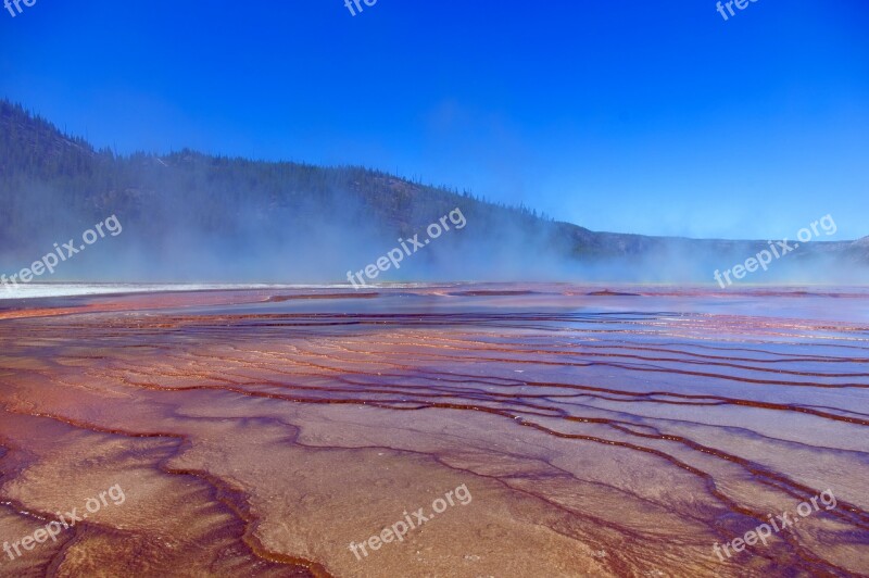 Bacterial Mats Of Grand Prismatic Pool Springs Grand Prismatic