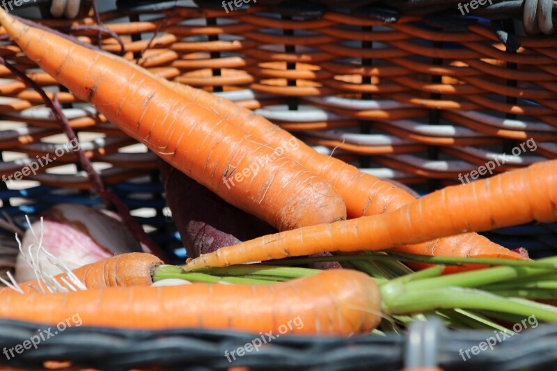 Carrot Basket Harvest Vegetables Nutrition